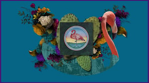 Christopher Cross at GSR August 25, 2024