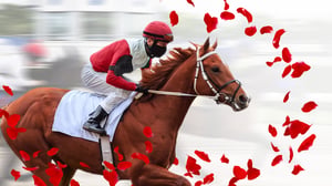 SE2302-01_Race-for-the-Roses-Derby-Party-website-hero-image_v01_1920x1080